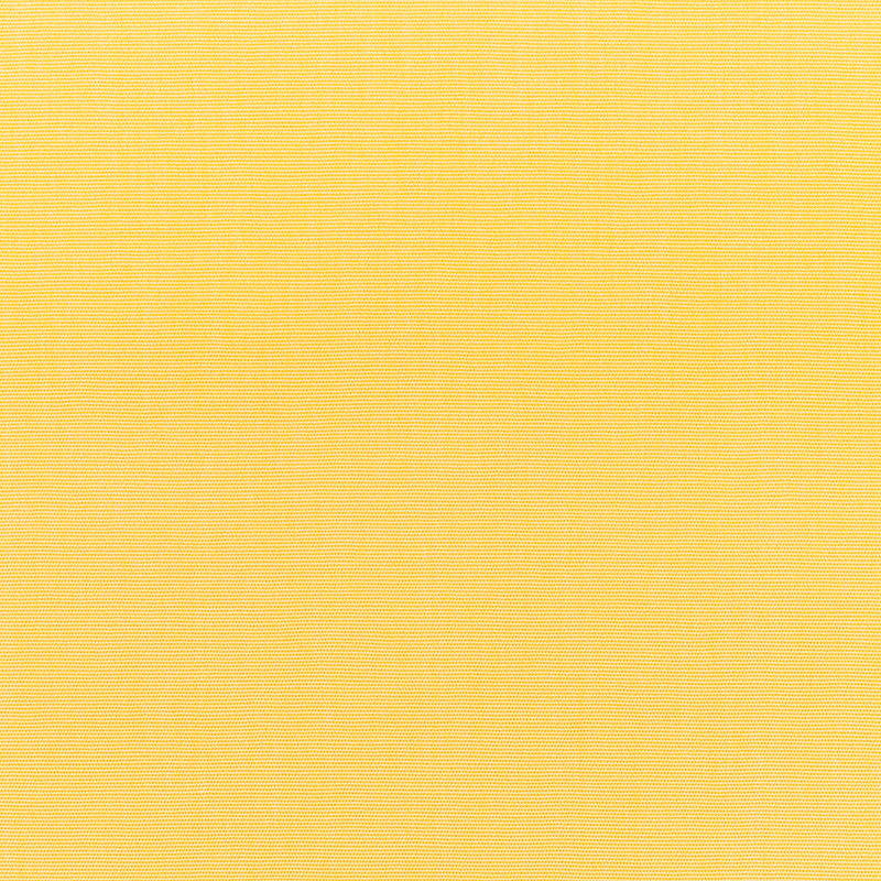Canvas-Buttercup