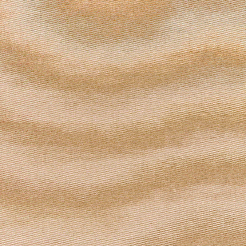 Canvas-Camel