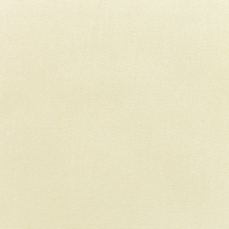 Canvas-Canvas