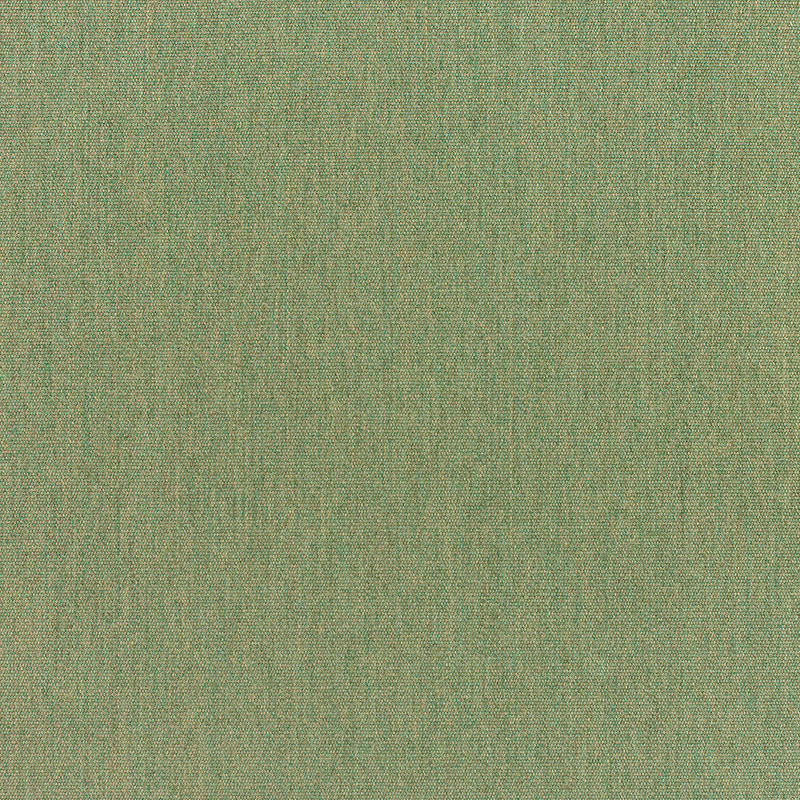 Canvas-Fern