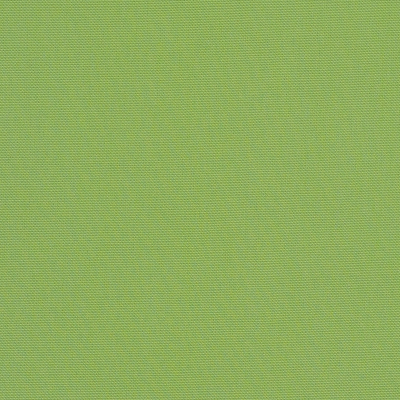 Canvas-Ginkgo