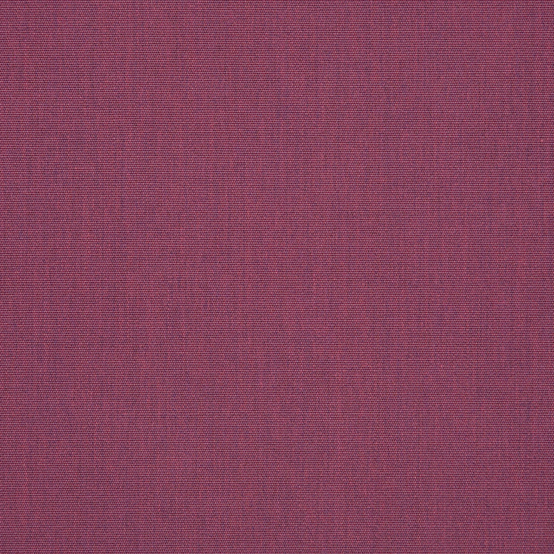 Canvas-Iris