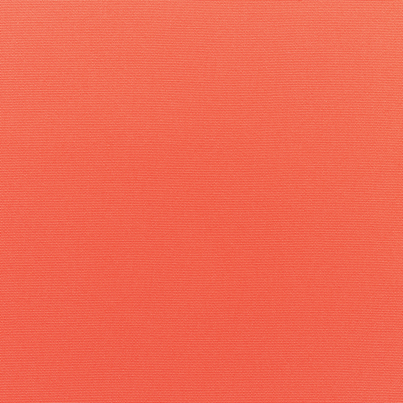 Canvas-Melon