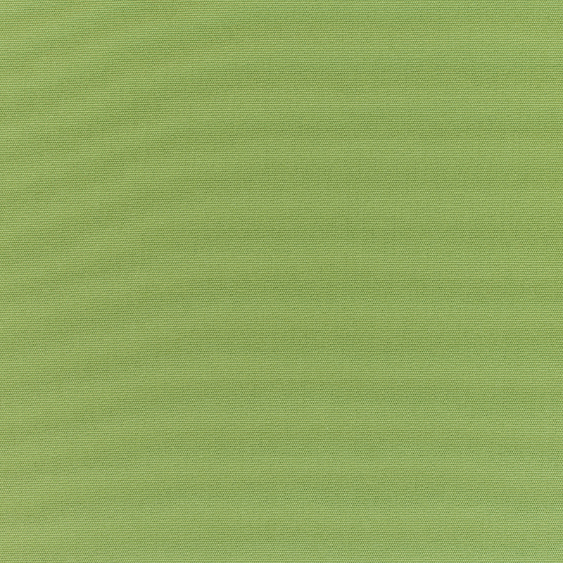 Canvas-Palm