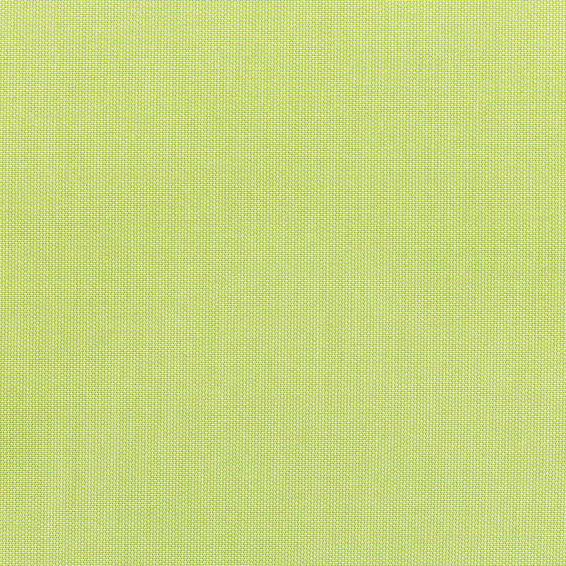 Canvas-Parrot