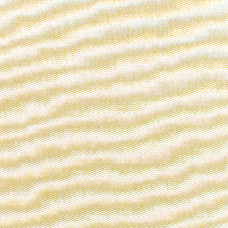 Canvas-Vellum