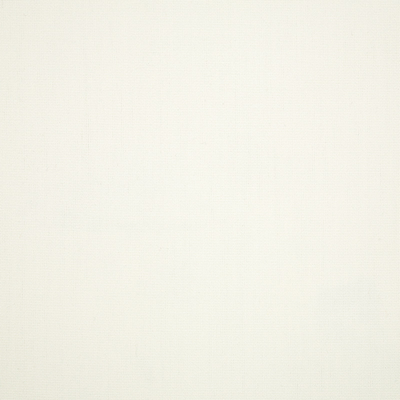 Canvas-White