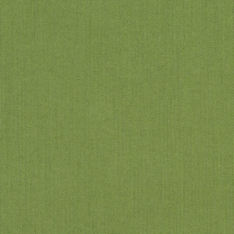 Spectrum-Cilantro